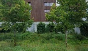 Ehpad Korian Parc des Dames à Saint-Germain-en-Laye