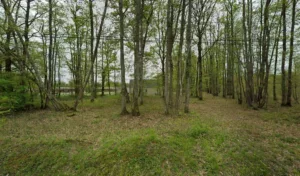 EHPAD Les Bois Blancs à Veuzain-sur-Loire