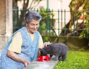 Vous êtes-vous déjà demandé si les animaux de compagnie pourraient être autorisés dans les EHPAD ? Eh bien, vous serez surpris d'apprendre que cette idée est en train de prendre de l'ampleur ! Les EHPAD, ou Établissements d'Hébergement pour Personnes […]