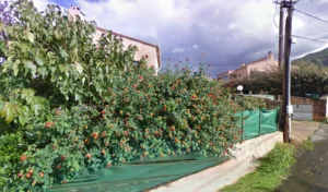 Maison de retraite Sainte-Marie à Cuttoli-Corticchiato